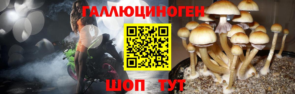 Галлюциногенные грибы Cubensis  Вход с VPN  Галлюциногенные грибы Magic Shrooms  Острогожск 